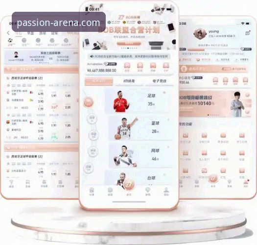 B体育平台手机版App安装与高效使用教程：实现“B体育随身玩”